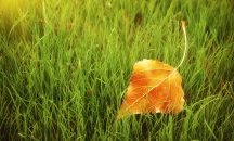 Започва захлаждане