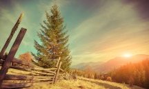 Очаква ни слънчева неделя