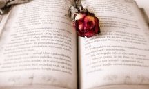 Историите на 50 удивителни българки, събрани в една книга