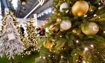Не изхвърляйте коледните елхи в кофата