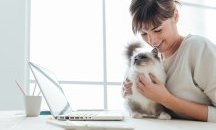 Котките помагат при работата от вкъщи