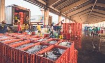 Камиони с морски дарове на протест под прозореца на Джонсън
