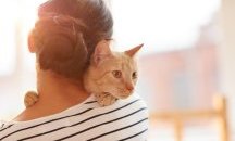 Британка напусна работа, за да стане "котешки преводач"