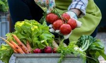 Lidl разработва първия стандарт за биоразнообразие в традиционното земеделие