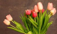 Слънцето пак се показва