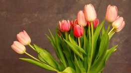 И в петък ще е слънчево и топло