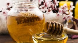 Кръгла маса за „Натура 2000“ и изложение на пчелни продукти в Попово 