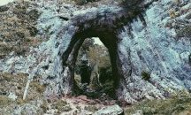 Преход до „Дрънчи Дупка“ и залесяване в местността „Бакаджик“ в Ямболско