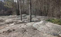 Бетонираха гора край магистрала „Хемус“