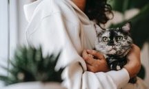 Котките са „феминистки“