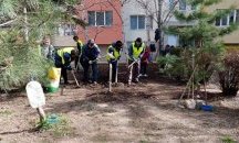 Продължава залесителната акция в различни части на Сливен