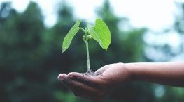 Информационни срещи за Натура 2000 в Плевен