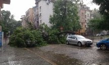 Паднали дървета и скъсани кабели след бурите в страната