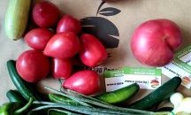Женски пазар онлайн: родно, вкусно, лесно
