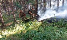 Пожарът в Свиленградско е овладян