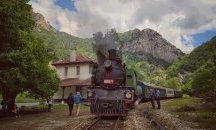 Пускат парен локомотив по теснолинейката за празниците