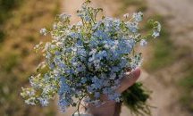 Слънчева събота