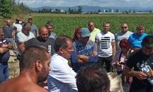 Земеделци ще блокират пътя Карлово - Пловдив