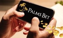 Какво можем да очакваме от платформата за залози на Palms Bet?