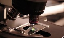 Микророботи ще разнасят лекарства вътре в човешкия организъм