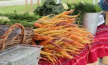 Производители от 8 области идват за есенния фермерски пазар на Lidl