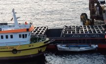 Понижават се стойностите на азот край Камен бряг