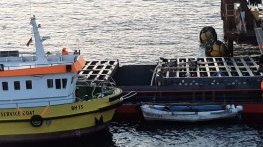 Понижават се стойностите на азот край Камен бряг