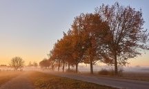 Предупреждение за мъгли в Северна България