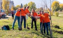От MyFin засадиха липи в Кюстендил за рождения си ден