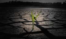 Глобалното затопляне ще унищожи икономиките на развиващите се страни