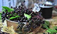 Черният бъз - суперплод за имунитет през зимата