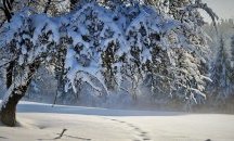 Започва астрономическата зима