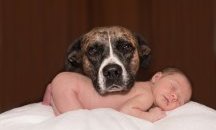 Бездомно куче спаси изоставено бебе