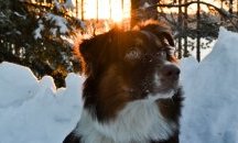 До 13° в събота