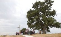 България отново участва в конкурса „Европейско дърво на годината“