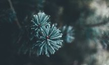 Учени откриха нов ключ към тайната на дълголетието