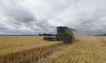 ДНК-тест разпознава откраднатото от руснаците украинско зърно