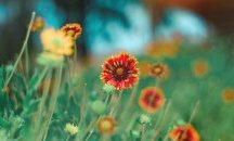 Уикендът започва със слънце и малко дъжд