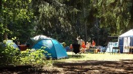 Спряха изграждането на екокъмпинг на Шофьорския плаж