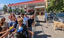 „Хората не са овце“: Манолова с импровизирана кошара на бензиностанция