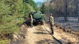 450 пожарникари се борят с огнените стихии в страната 