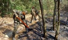 Отменят бедственото положение заради пожарите в Хасковско