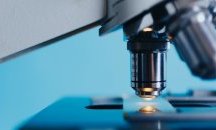 Младо момче от Силистра представи България на престижно научно изложение