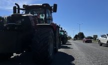 Земеделци на протест заради украинското зърно