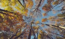 Предимно слънчево в понеделник