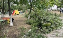 След бурята: Обстановката в Бургаско се нормализира