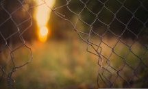 Как цял бус премина през „дупка“ в оградата по границата с Турция