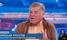 Делфини охраняват Кримския мост: как така, ами така!