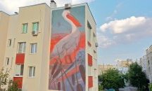 Къдроглави пеликани върху блок в Белене 