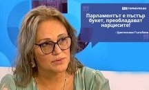 Големите кавички: „Парламентът е пъстър букет, преобладават нарцисите“
